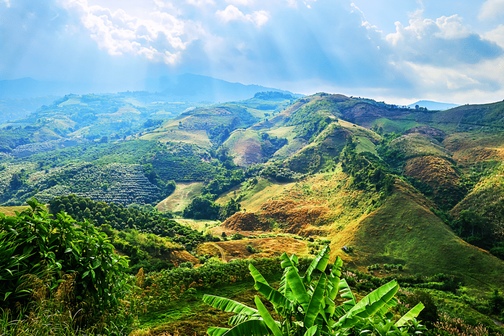 The Far North (Hill Tribe Regions), Thailand.