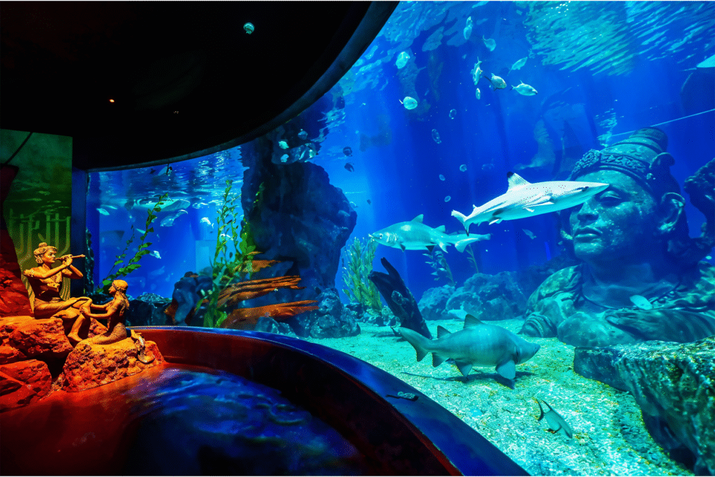 Sea Life Bangkok Ocean World